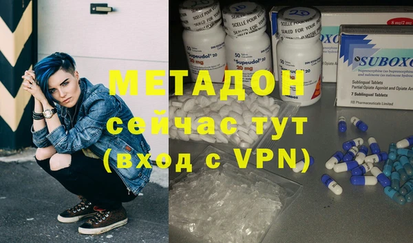 шишки Абаза