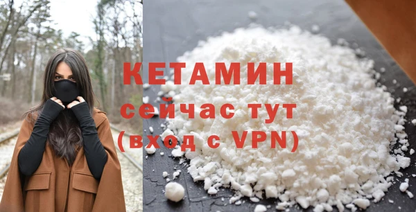 шишки Абаза