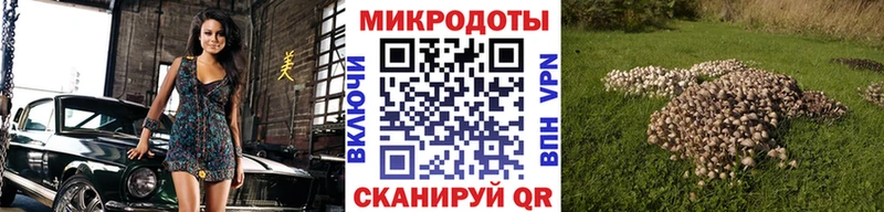Псилоцибиновые грибы Psilocybe  даркнет официальный сайт  Белоозёрский 